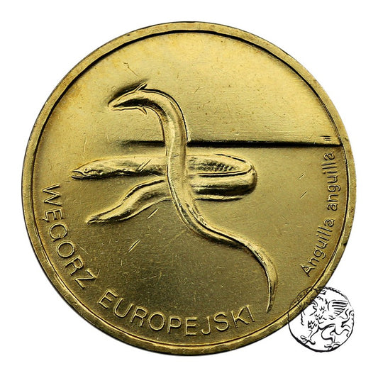 III RP, 2 złote, 2003, Węgorz europejski