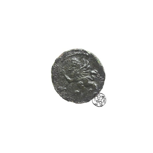 Pomorze, Dwaj Bracia, Szerf, 1581 r., Szczecin